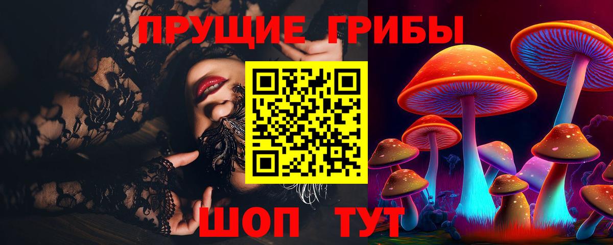 Псилоцибиновые грибы Psilocybine cubensis Иваново